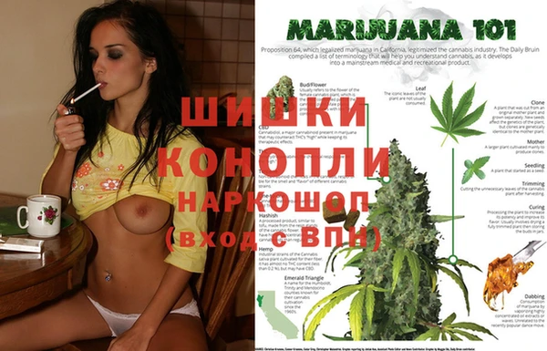 spice Володарск