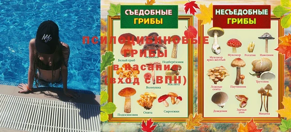гашик Волоколамск